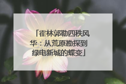霍林郭勒四秩风华：从荒原勘探到绿电新城的蝶变