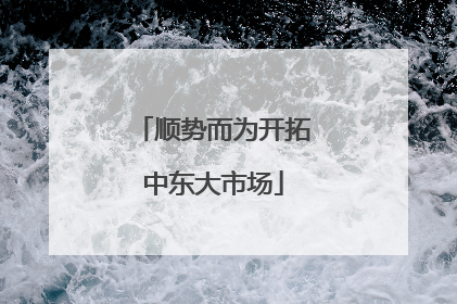 顺势而为开拓中东大市场