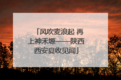 风吹麦浪起 再上神禾塬——陕西西安夏收见闻