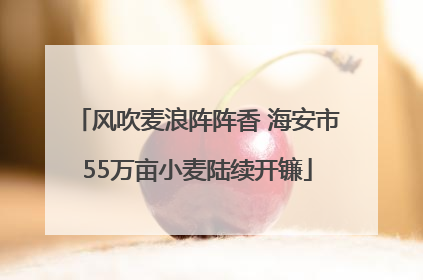风吹麦浪阵阵香 海安市55万亩小麦陆续开镰
