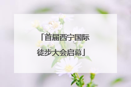 首届西宁国际徒步大会启幕