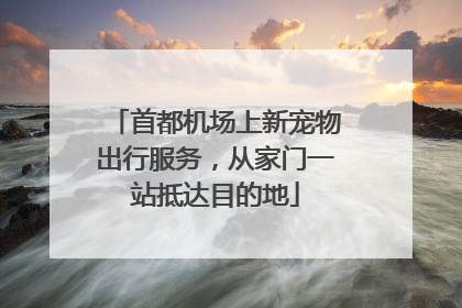 首都机场上新宠物出行服务，从家门一站抵达目的地