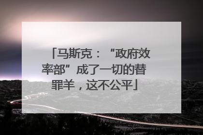 马斯克：“政府效率部”成了一切的替罪羊，这不公平