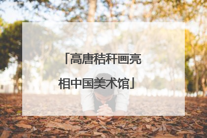 高唐秸秆画亮相中国美术馆