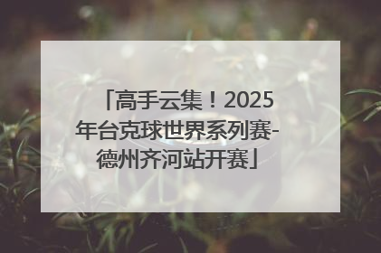 高手云集！2025年台克球世界系列赛-德州齐河站开赛