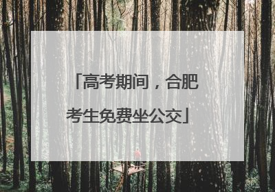 高考期间，合肥考生免费坐公交