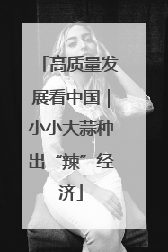 高质量发展看中国｜小小大蒜种出“辣”经济