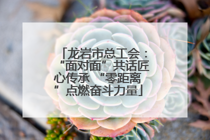 龙岩市总工会：“面对面”共话匠心传承 “零距离”点燃奋斗力量