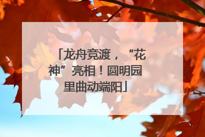 龙舟竞渡，“花神”亮相！圆明园里曲动端阳