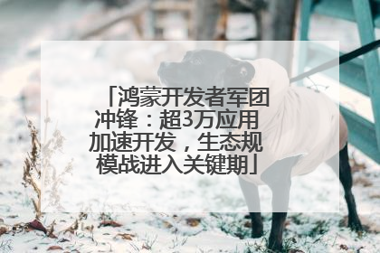 鸿蒙开发者军团冲锋：超3万应用加速开发，生态规模战进入关键期