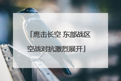 鹰击长空 东部战区空战对抗激烈展开