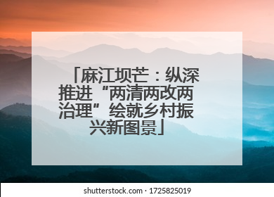 麻江坝芒：纵深推进“两清两改两治理”绘就乡村振兴新图景