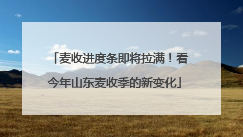 麦收进度条即将拉满！看今年山东麦收季的新变化