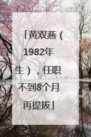 黄双燕（1982年生），任职不到8个月再提拔