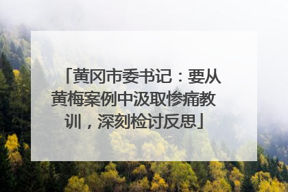 黄冈市委书记：要从黄梅案例中汲取惨痛教训，深刻检讨反思