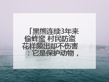 黑熊连续3年来偷蜂蜜 村民防盗花样频出却不伤害：它是保护动物，我有保险兜底