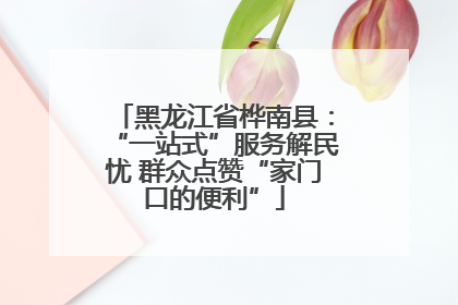 黑龙江省桦南县：“一站式”服务解民忧 群众点赞“家门口的便利”