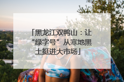 黑龙江双鸭山：让“绿字号”从寒地黑土挺进大市场