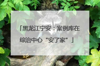 黑龙江宁安：案例库在综治中心“安了家”