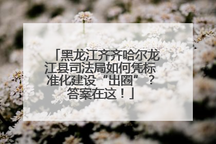 黑龙江齐齐哈尔龙江县司法局如何凭标准化建设“出圈”？答案在这！