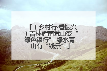 （乡村行·看振兴）吉林辉南荒山变“绿色银行” 绿水青山有“钱景”