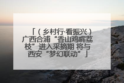 （乡村行·看振兴）广西合浦“香山鸡嘴荔枝”进入采摘期 将与西安“梦幻联动”