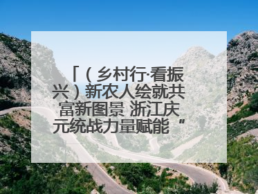 （乡村行·看振兴）新农人绘就共富新图景 浙江庆元统战力量赋能“海拔经济”