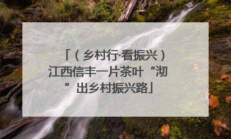 （乡村行·看振兴）江西信丰一片茶叶“沏”出乡村振兴路