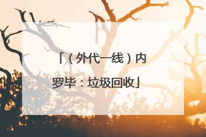 （外代一线）内罗毕：垃圾回收