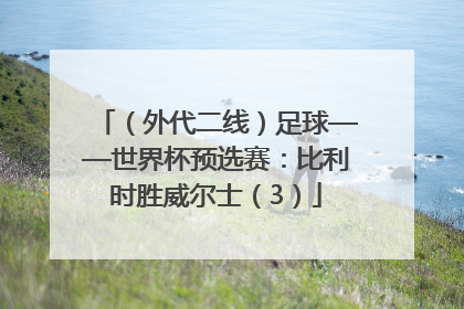 （外代二线）足球——世界杯预选赛：比利时胜威尔士（3）