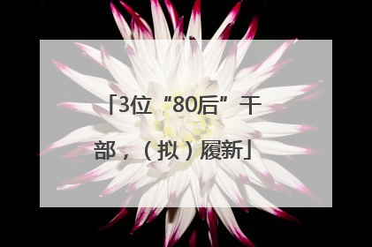 3位“80后”干部，（拟）履新