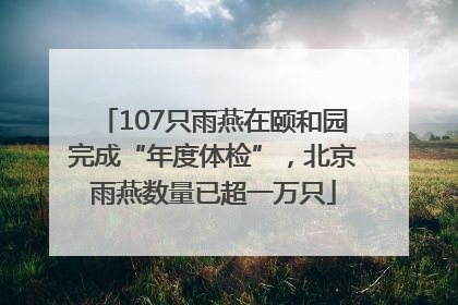107只雨燕在颐和园完成“年度体检”，北京雨燕数量已超一万只