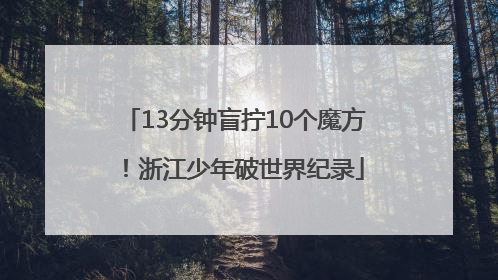 13分钟盲拧10个魔方！浙江少年破世界纪录