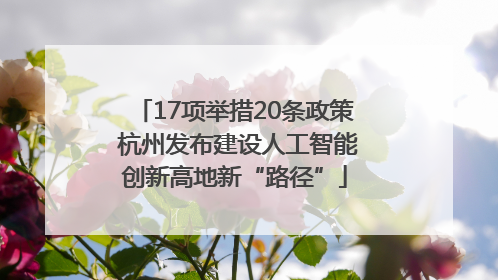 17项举措20条政策 杭州发布建设人工智能创新高地新“路径”