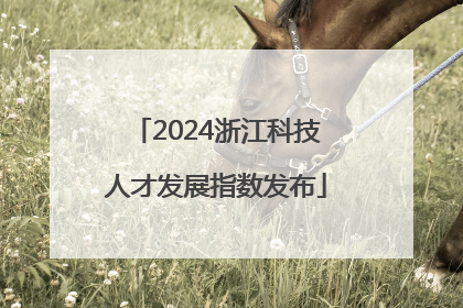 2024浙江科技人才发展指数发布