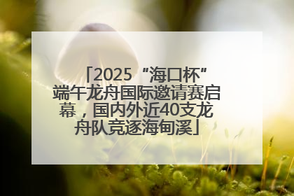 2025“海口杯”端午龙舟国际邀请赛启幕，国内外近40支龙舟队竞逐海甸溪