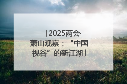 2025两会·萧山观察：“中国视谷”的新江湖