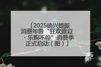 2025德兴提振消费年暨“狂欢盛夏・乐购不停”消费季正式启动（图）