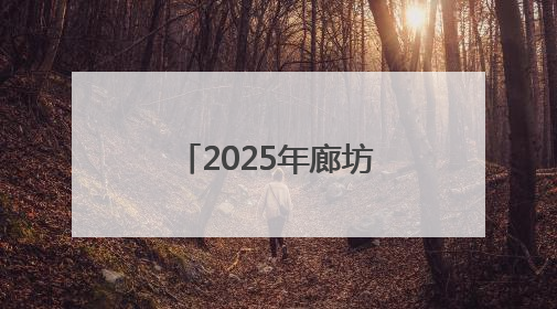 2025年廊坊经洽会亮点抢先看（四）丨搭建物流服务“样板间”
