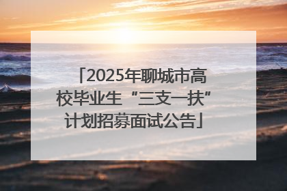 2025年聊城市高校毕业生“三支一扶”计划招募面试公告