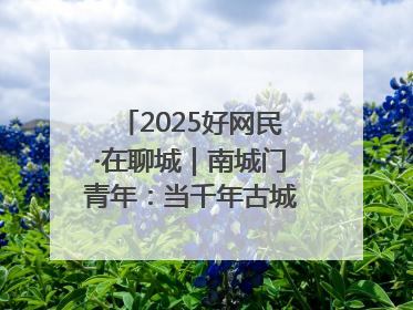 2025好网民·在聊城｜南城门青年：当千年古城遇见青春歌谣 一湖碧水见证的“聊城式浪漫”