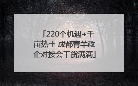 220个机遇+千亩热土 成都青羊政企对接会干货满满