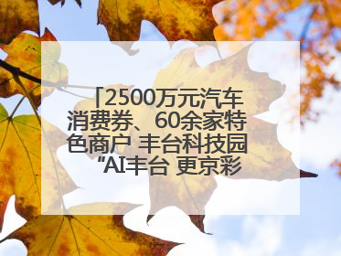 2500万元汽车消费券、60余家特色商户 丰台科技园“AI丰台 更京彩”未来玩家市集活动正式开幕