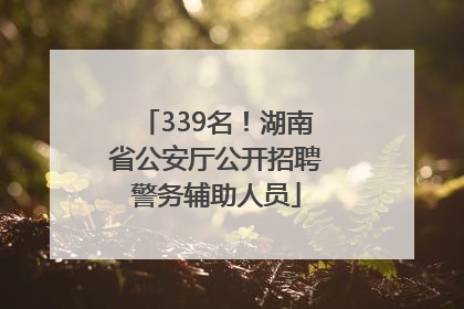 339名！湖南省公安厅公开招聘警务辅助人员