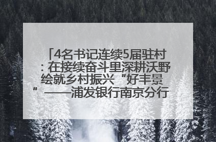 4名书记连续5届驻村：在接续奋斗里深耕沃野 绘就乡村振兴“好丰景”——浦发银行南京分行助力脱贫攻坚、帮促乡村振兴记事（二）