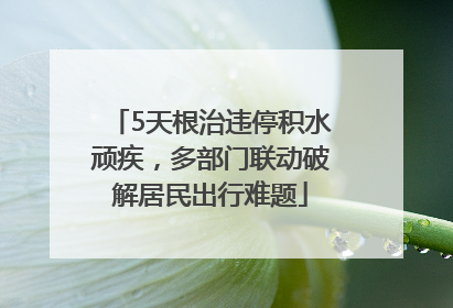 5天根治违停积水顽疾，多部门联动破解居民出行难题
