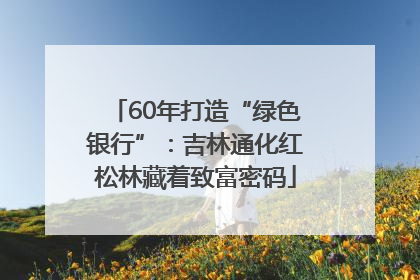 60年打造“绿色银行”：吉林通化红松林藏着致富密码