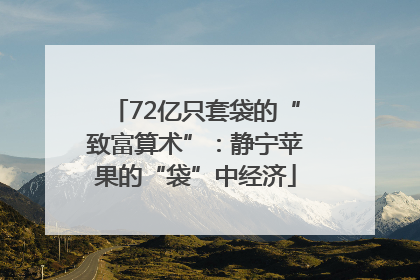 72亿只套袋的“致富算术”：静宁苹果的“袋”中经济
