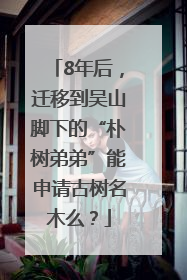 8年后，迁移到吴山脚下的“朴树弟弟”能申请古树名木么？