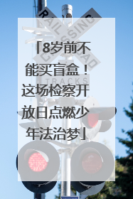 8岁前不能买盲盒！这场检察开放日点燃少年法治梦